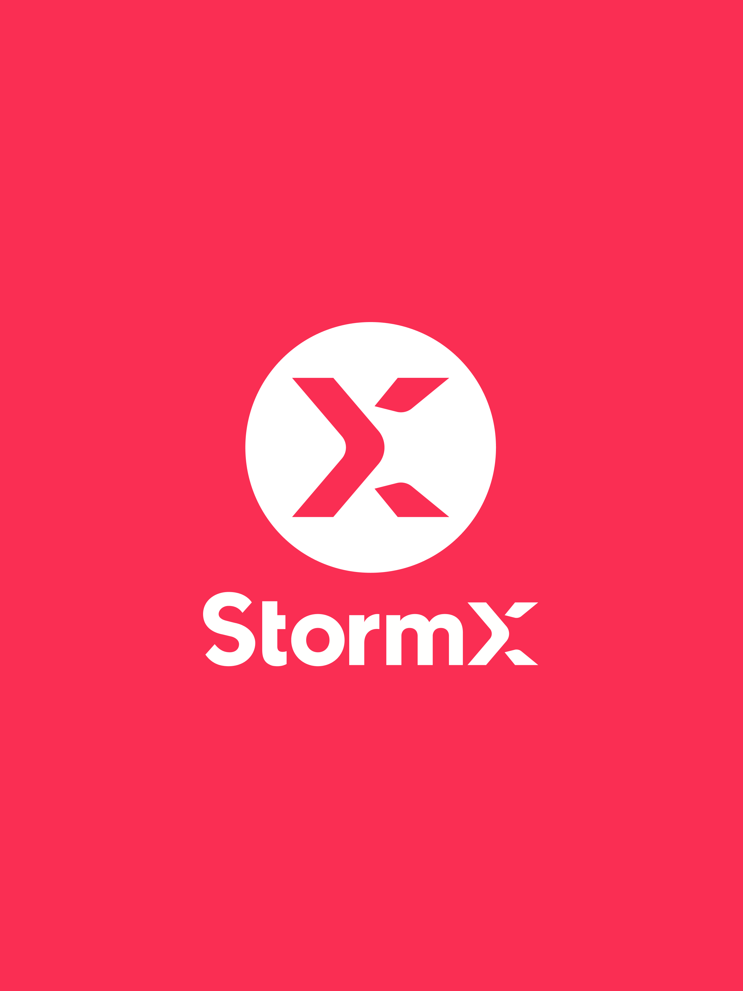 StormX brand mark on coral background